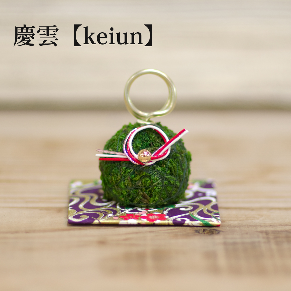 苔玉席札スタンド